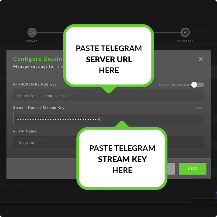 pasteTelegramStreamDetails.png